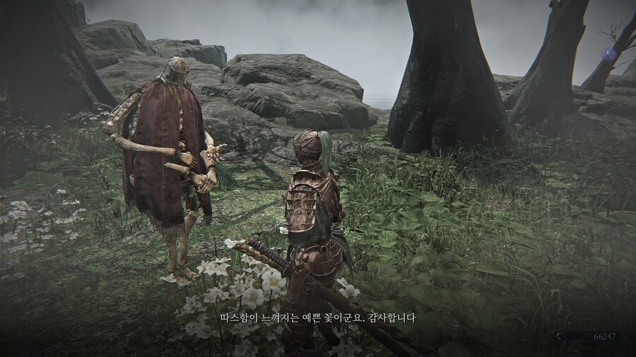 (엘든링) 엘밤통 캐릭터 스토리 - 집행자 편_12.jpg