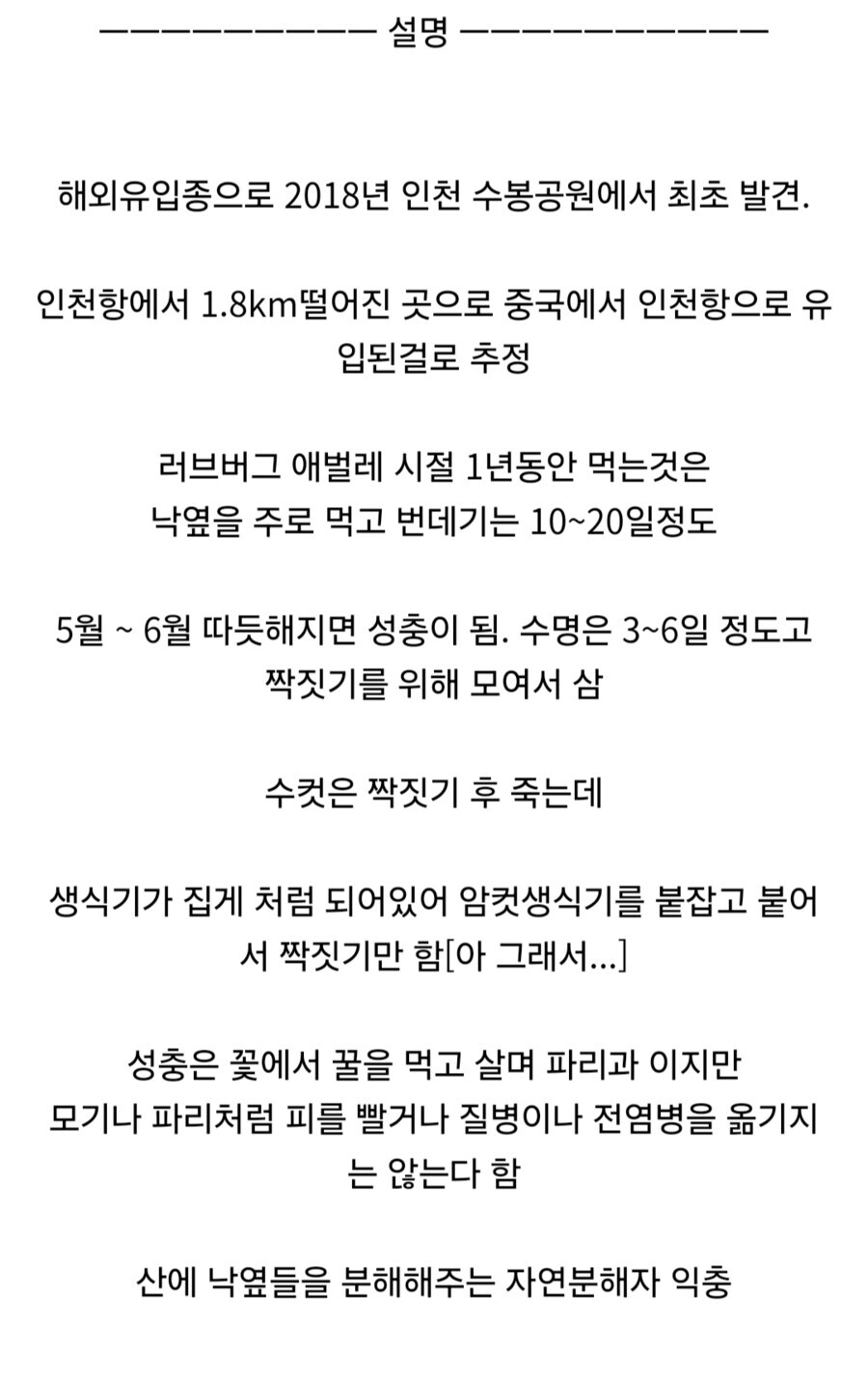 러브버그 어릴 땐 없던게 맞았구나_1.jpg