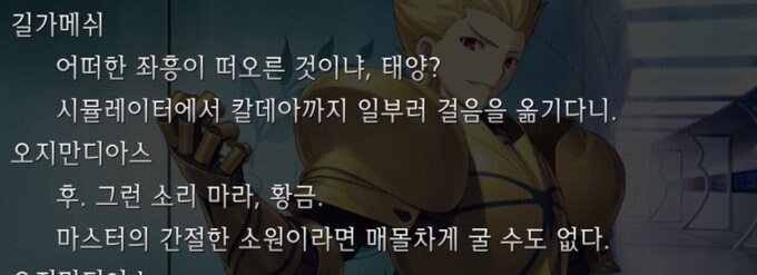 Fate) 공식에서 인정하는 금태양 콤비.jpg_1.jpg