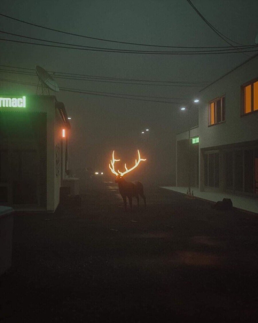Not deer 괴담_1.jpg