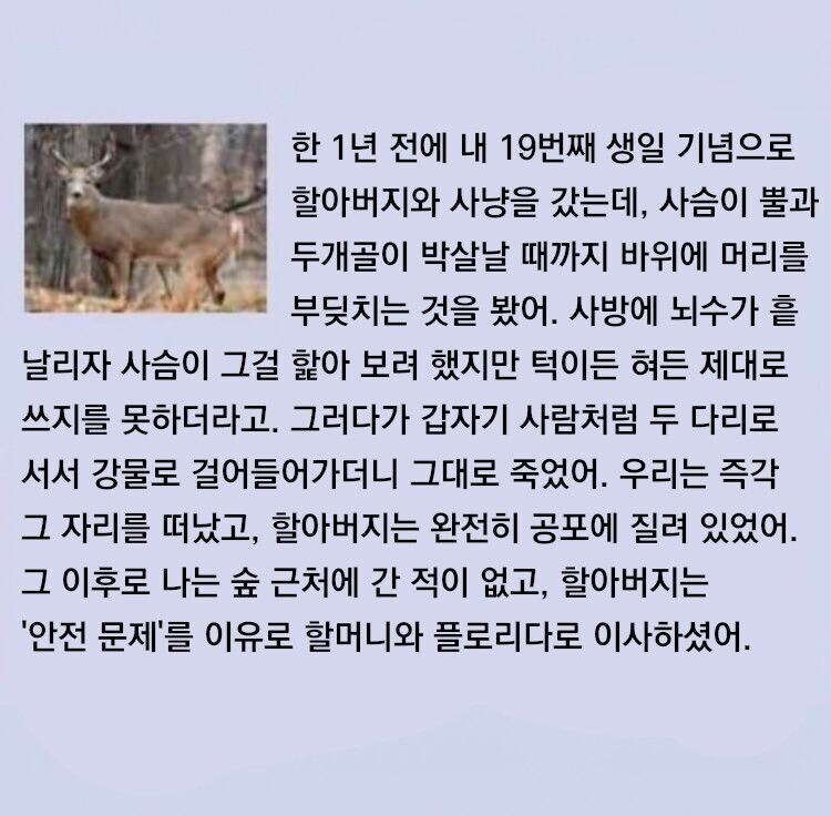Not deer 괴담_2.jpg