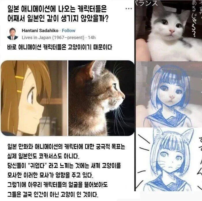 같은 아니메풍 그림도 국가별로 차이가 나는 걸 보면 재밌긴 함_1.webp