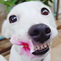 오징어게임 스포한다_1.png