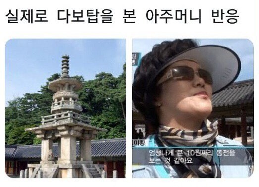 다보탑을 본 아주머니_1.jpg