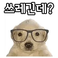 유투브 ai야 그냥 죽어_1.webp