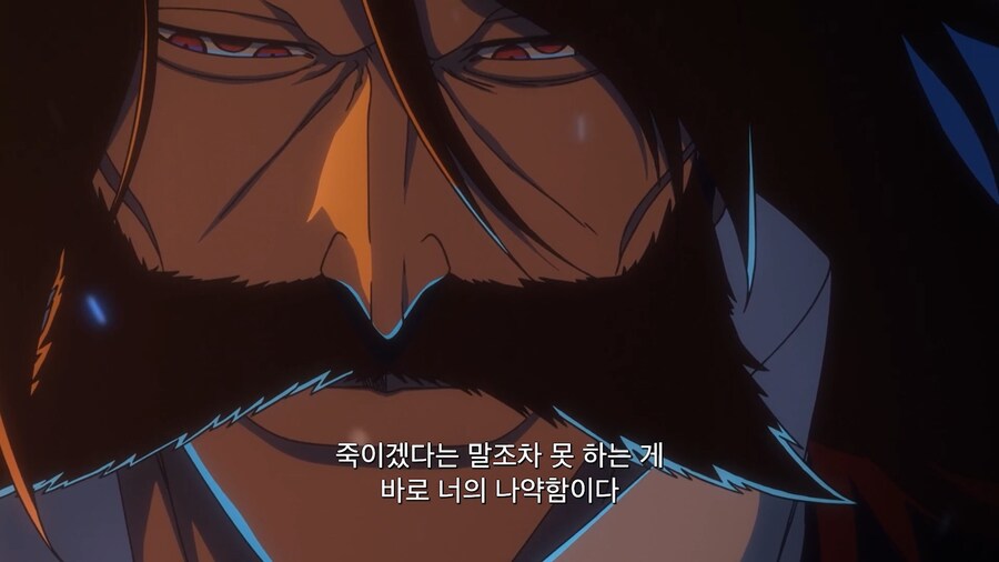 블리치]제 어미를 죽인 자에게 죽이겠다는 말 하나 못하는것이냐_6.jpg