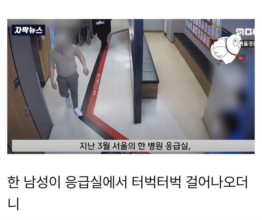 서울에서 활동하는 요즘 MZ조폭들_7.png