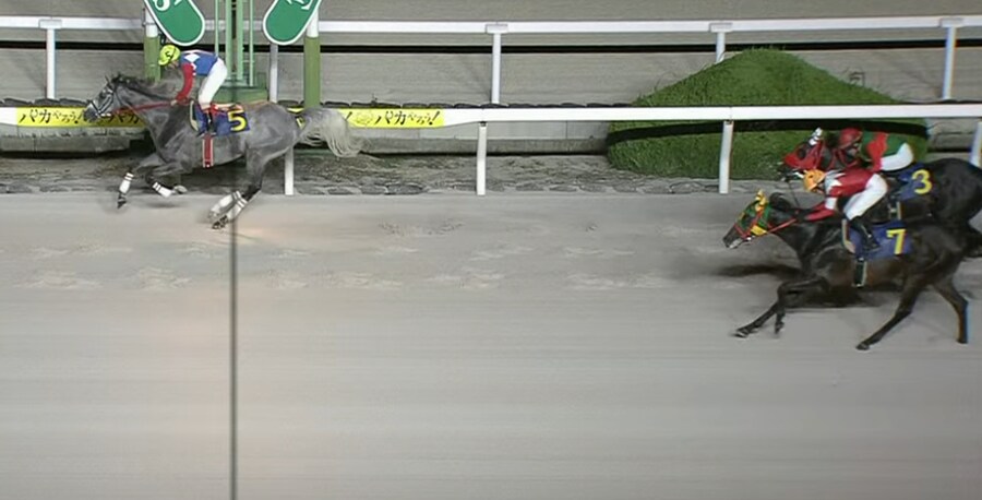 경마) 소노다 11R에서 마권 2종 적중한 말딸 성우 아사카_1.png