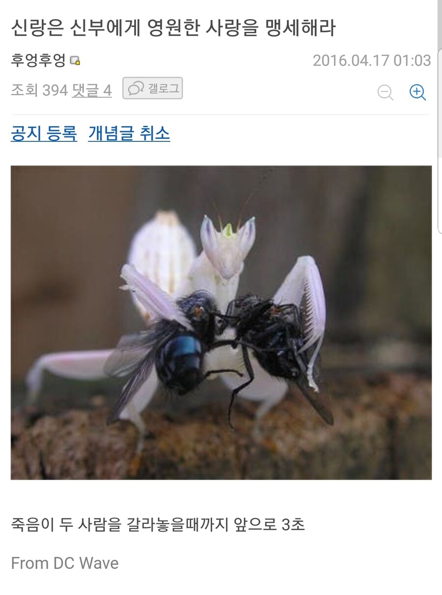 신랑신부 입장_1.jpg