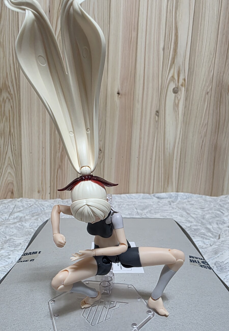 버스터 돌 팔라딘은 안 사려 했는데_3.jpg