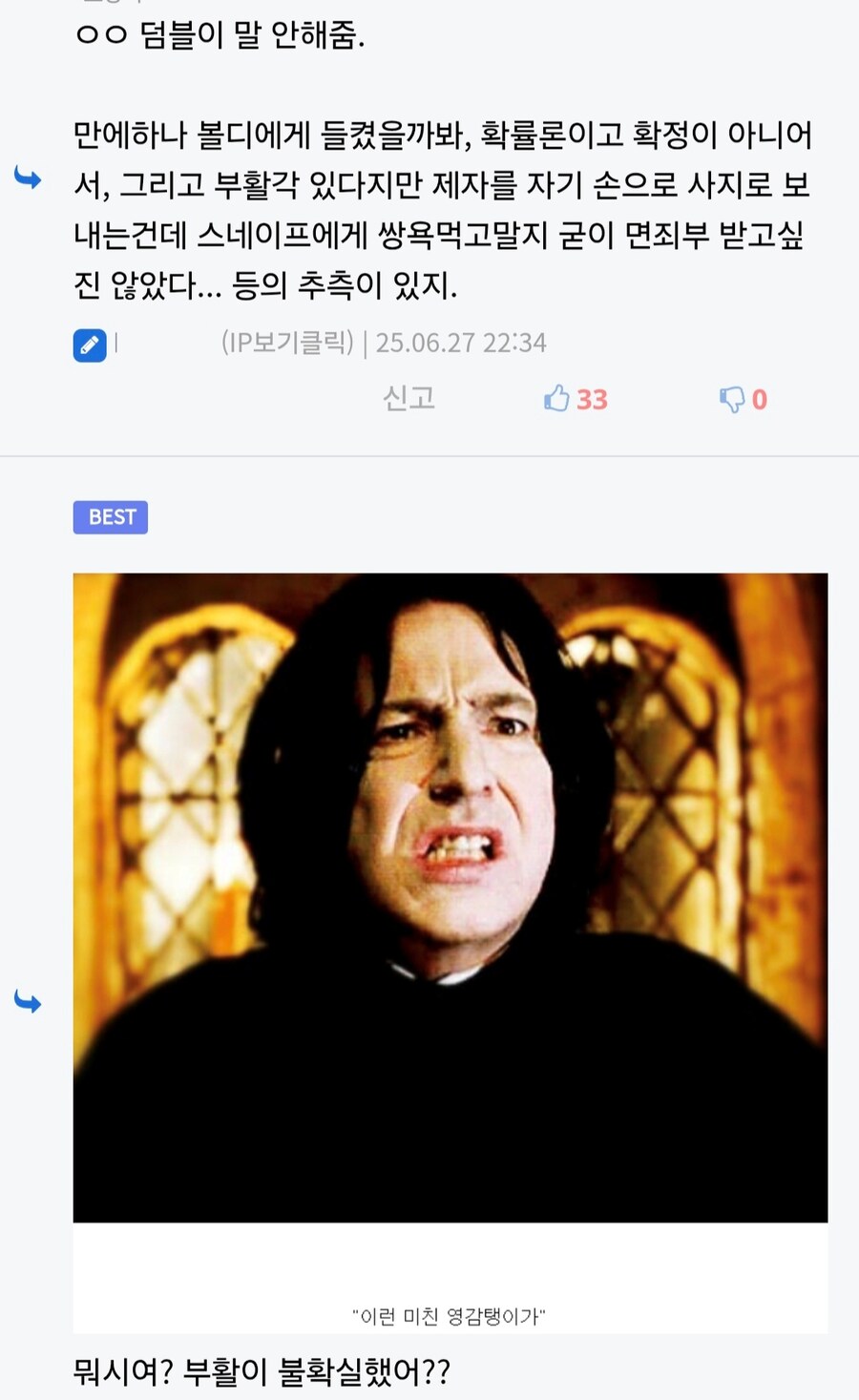 해리포터) 덤블도어를 너무 못 믿은거 아님?_3.jpg
