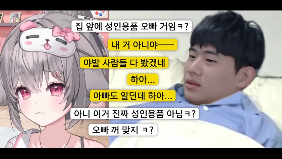 인방) 미녕이의 스트리머 암살시도.jpg_3.png
