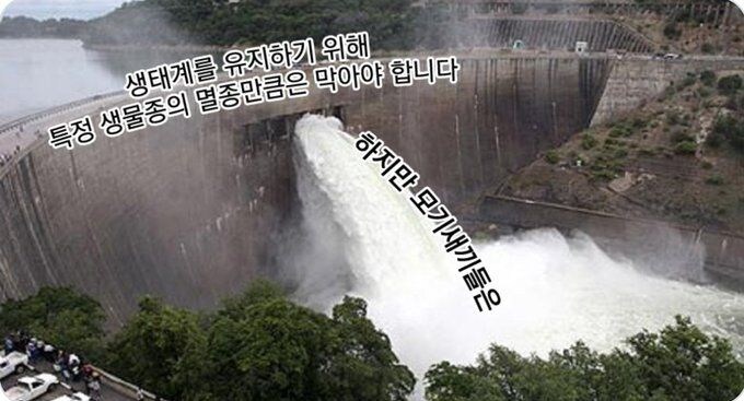 신념에 금가게 하는 "그 생물종"_1.jpg