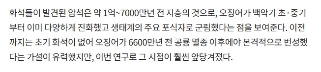 오징어 놀랍게도 벌써_2.png