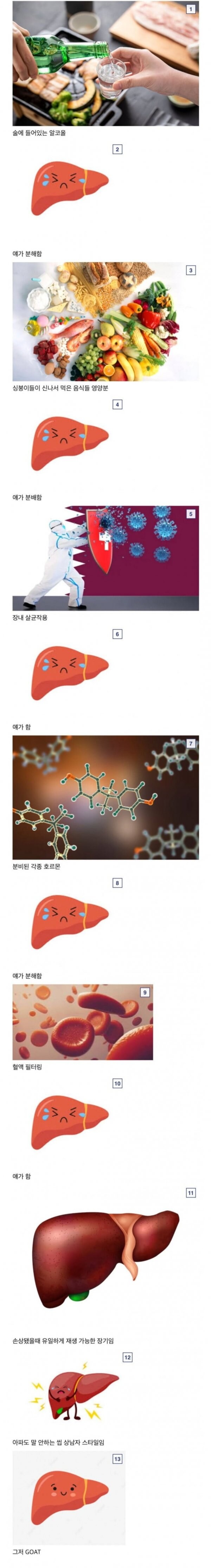 간이 개쩌는 장기인 이유.jpg_1.jpg