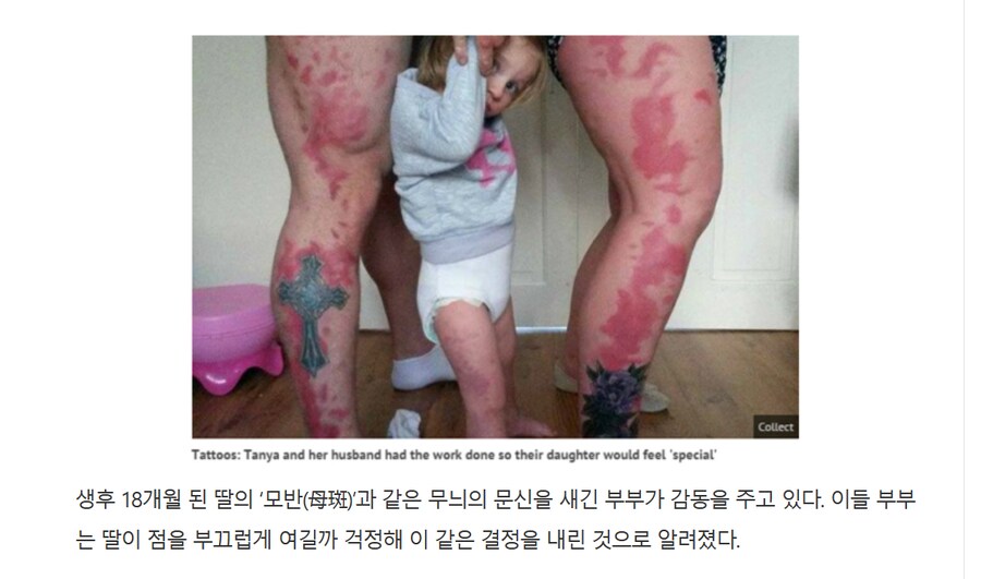 케이팝) 루미 상흔쉴더는 진짜 악질팬덤이네_1.png