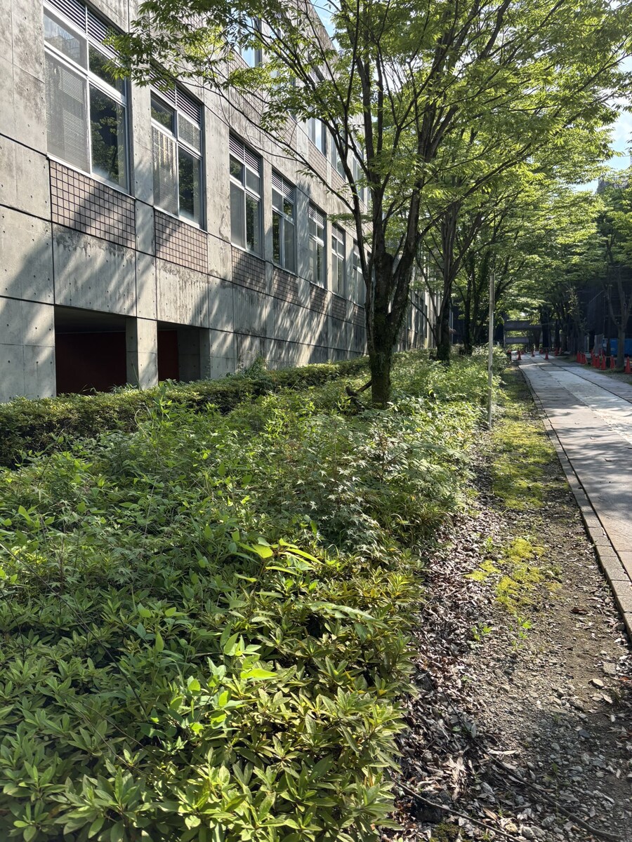 개인적으로 이번분기 1위였던 애니.jpg_17.jpg
