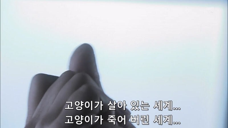 슈뢰딩거의 살인범_43.jpg