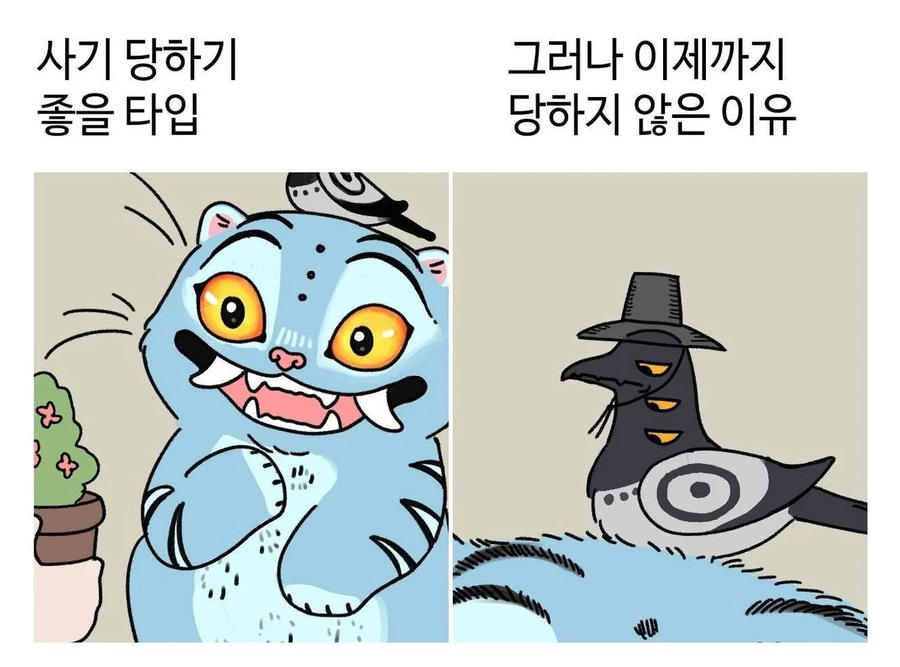 사기당하기 좋은 타입_1.webp