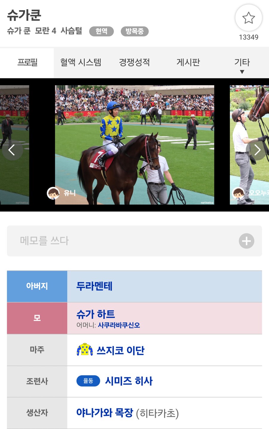 경마, 말딸)레이 데 오로 자마 초양혈 3형제 중 하나 미승리 통과!_2.png