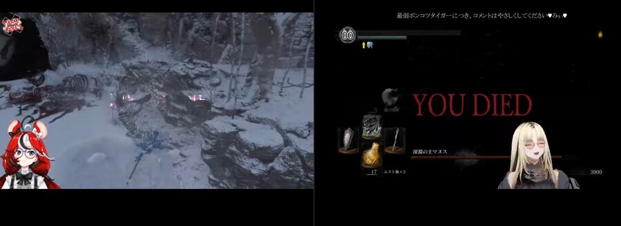 버튜버) 지금 보고있는 홀로멤 공통점_1.jpg