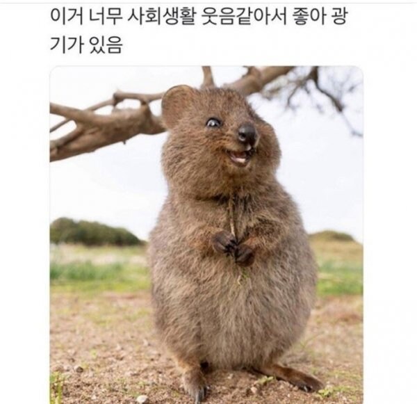 사회생활 웃음_1.jpg