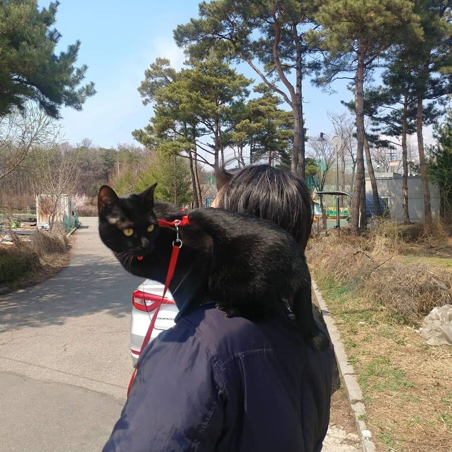 우리집 검은 똥괭이 5_5.jpg