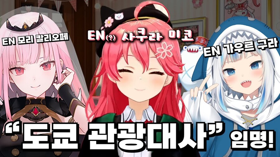 버튜버) 음지나 마이너를 비슷하게 쓰건말건_3.jpg