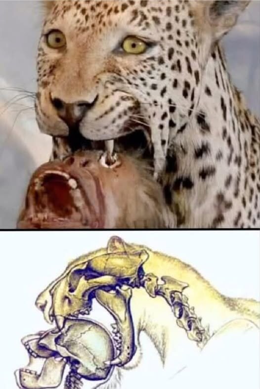 가장 끔찍하게 죽은 조상님_2.jpg