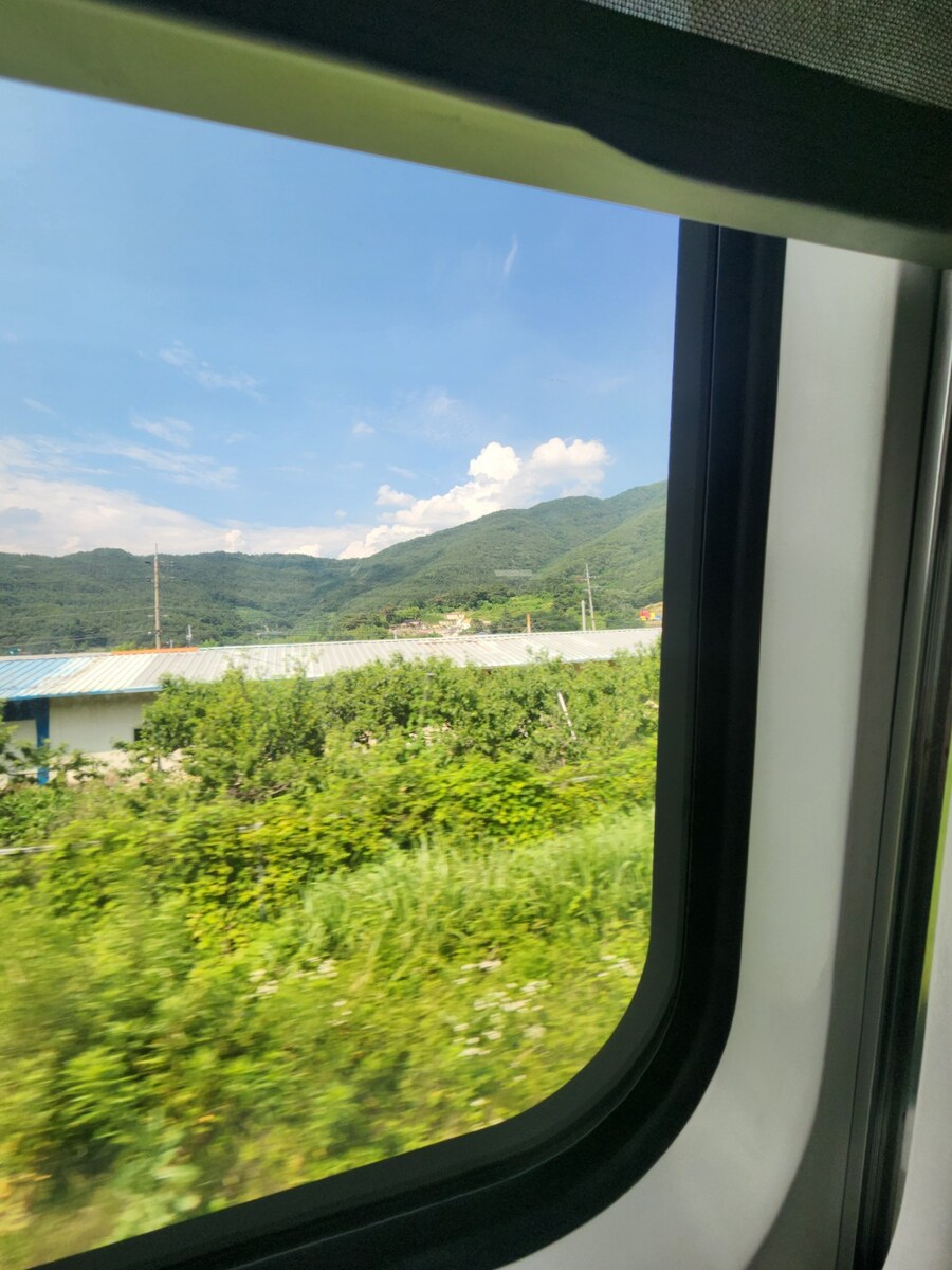 블루아카) 다들 부산 블케스트라 오고 있지?_1.jpg