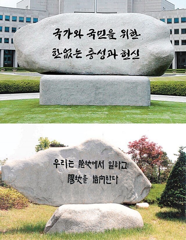 음지 VS 양지.JPG_1.jpg