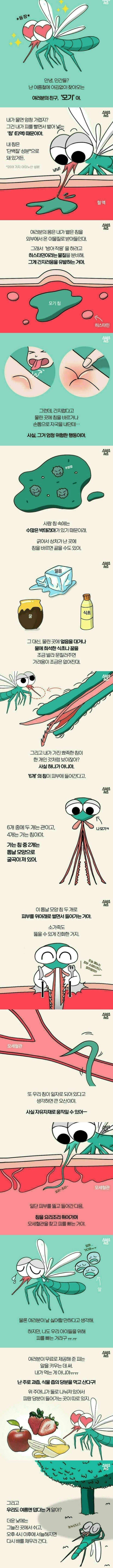 안녕, 인간들? 난 여름철에 찾아오는 여러분의 친구, 모기야.jpg_1.jpg