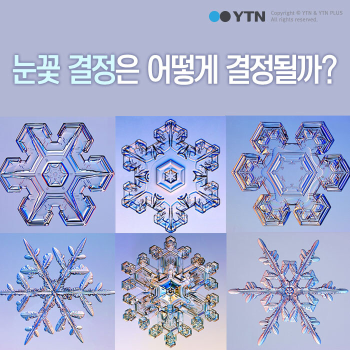 가끔 인간 이외것이 존재 하는거 같을때_3.jpg