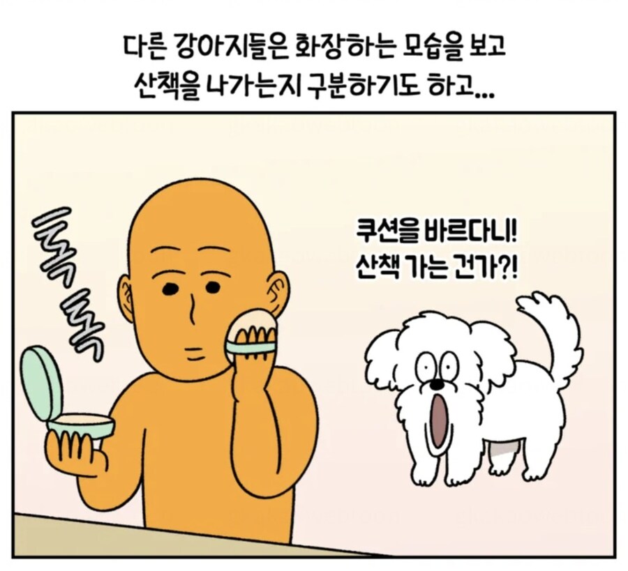강아지가 여자 주인의 산책 징후 알아내는 방법_3.jpg