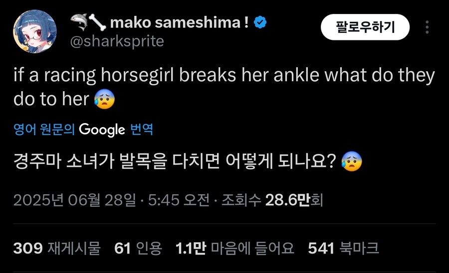 우마무스메 설정을 이해해보려 하는 양덕_1.jpg