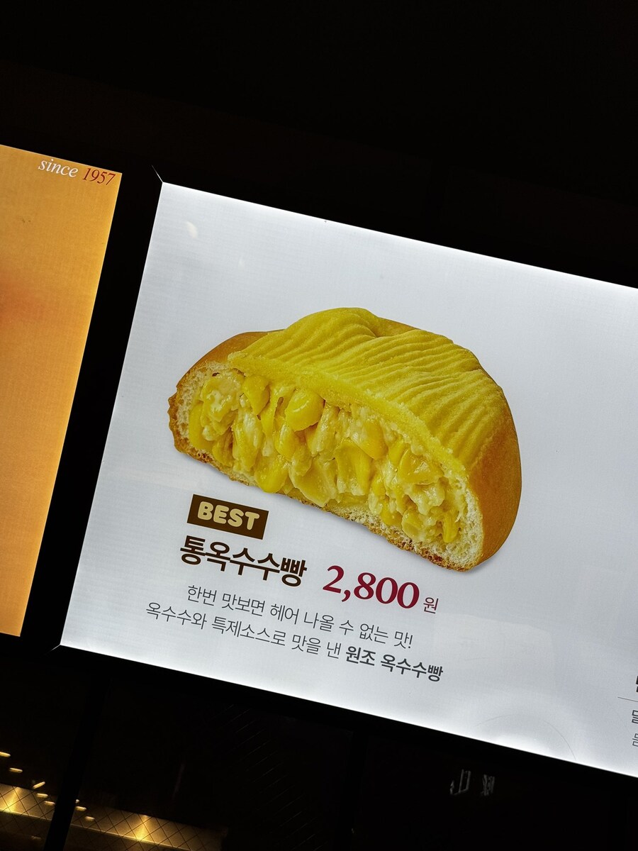 성우 아이바 아이나 내한_1.jpg