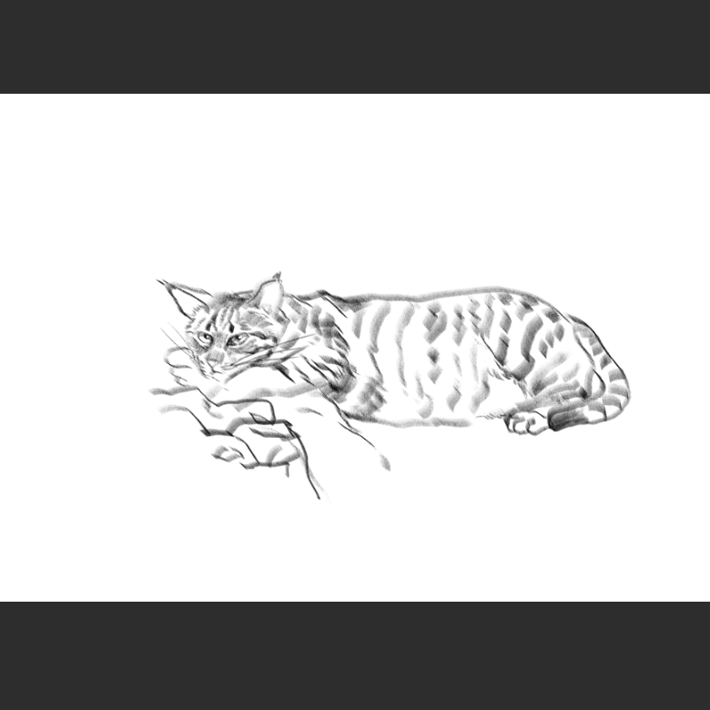 고양이) 우리집 고양이그림 보고가셈_1.png