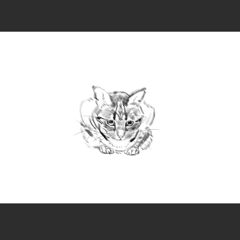고양이) 우리집 고양이그림 보고가셈_4.png