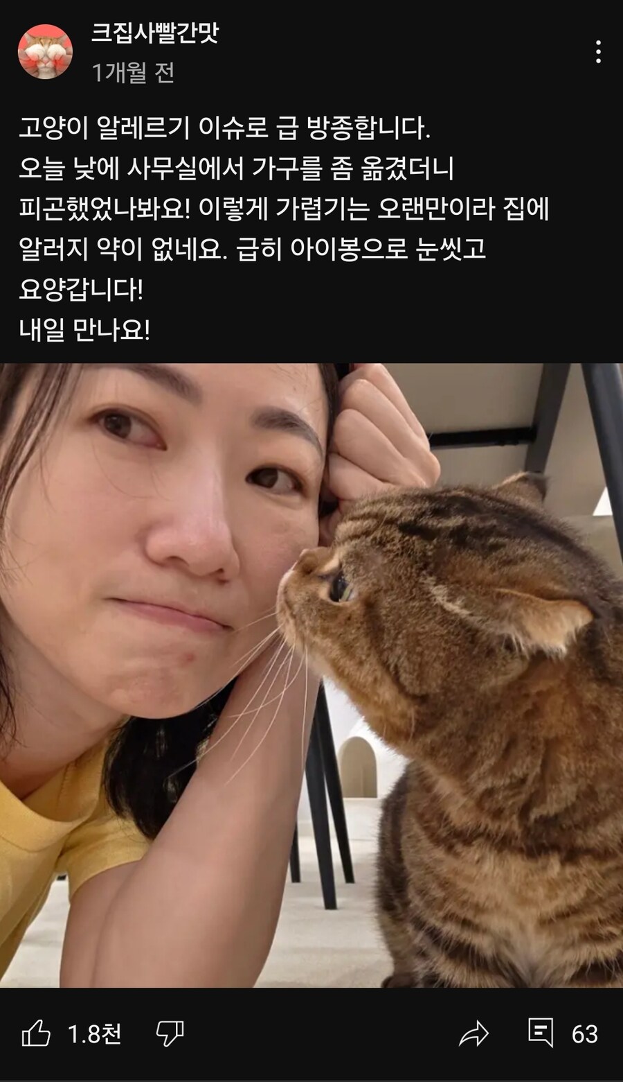 고양이 열마리 키우는 유튜버의 비밀_5.jpg