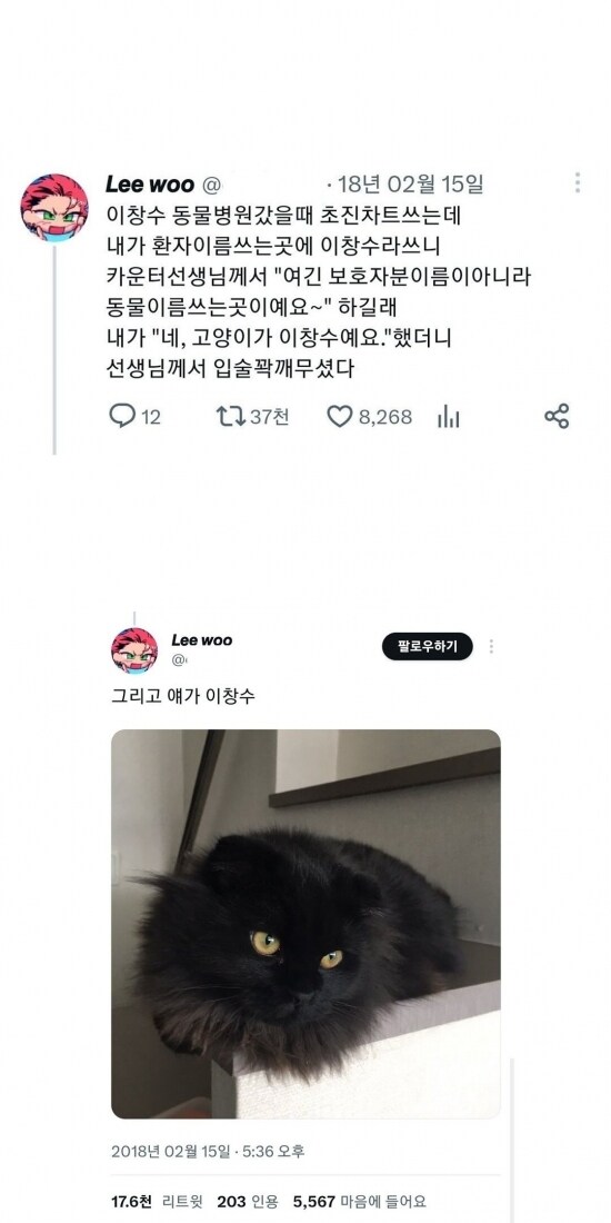 고양이 이름 대참사_1.jpg