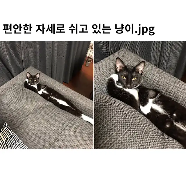 ??? : 너 맑은 영혼 가지고 있어?_1.webp