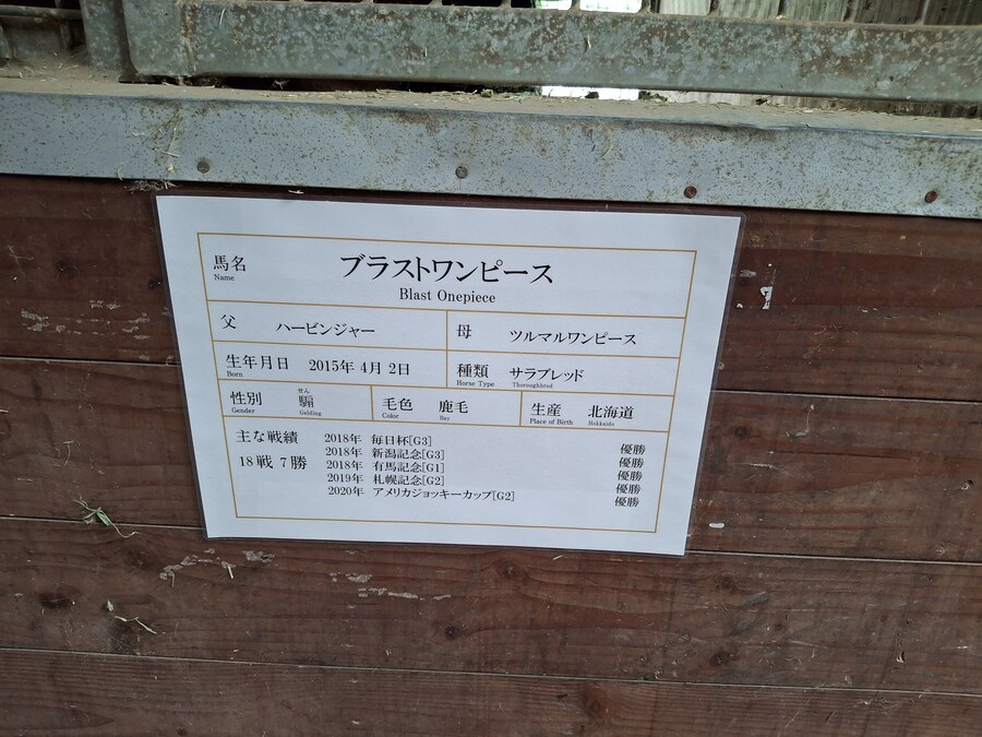 말딸)여기 아리마 기념 승리마가 있습니다_2.jpg