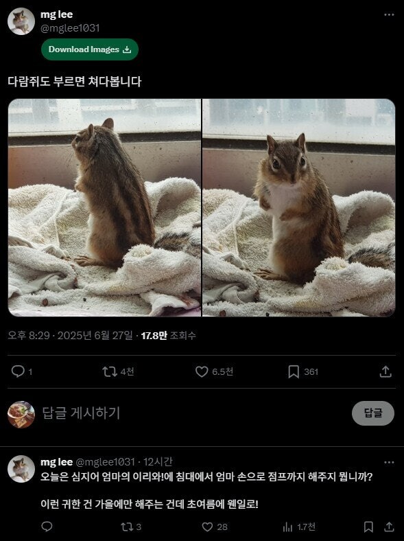 다람쥐 깨알 상식_1.jpg