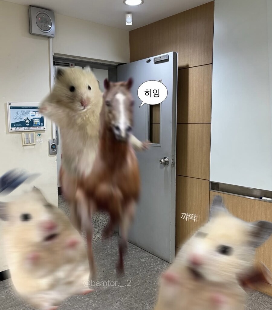 직장인들 요즘 뒤에서 말나올때_2.jpg