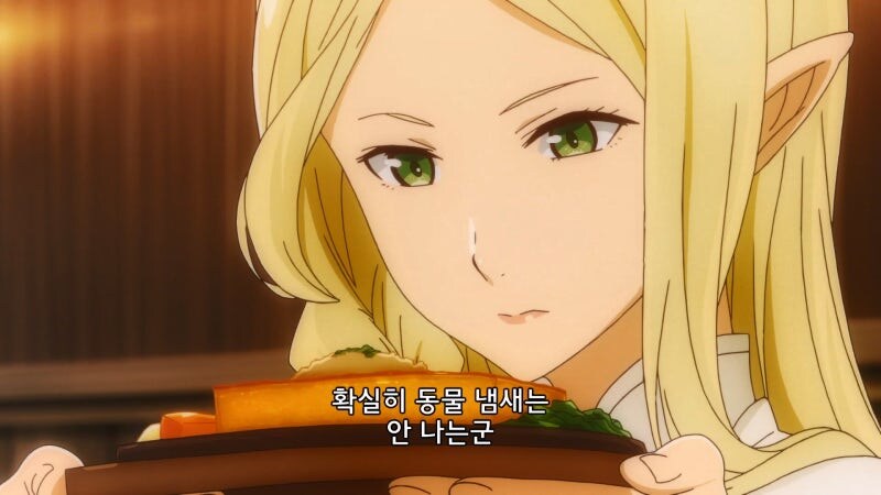 비건엘프라고 음해당하는 캐릭터_22.jpg