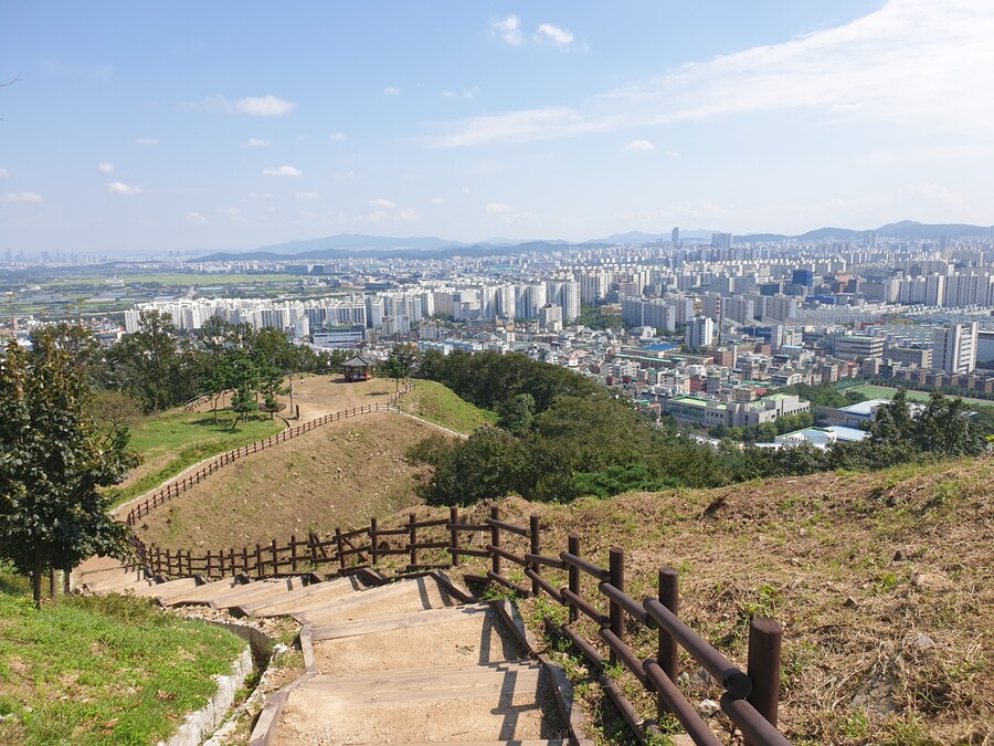 러브버그가 집 근처 산을 덮기 전엔 이랬는데_7.jpg