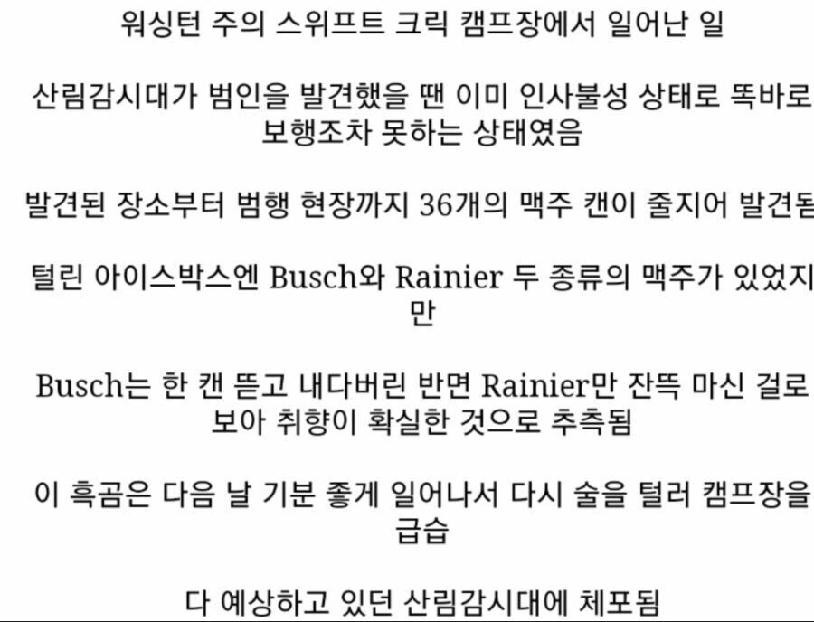 맥주 취향이 확실한 미국 곰_2.jpg