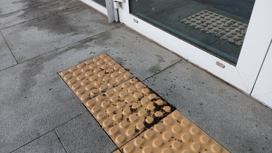 러브버구 근황_2.jpg