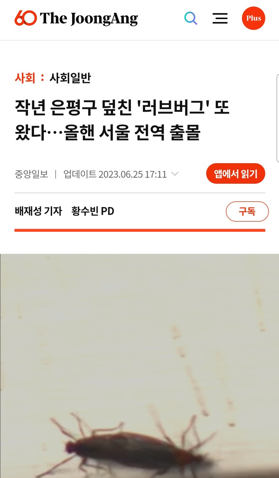 애초에 왜 러브버그가 인천에서 나왔다고 처우기는데_1.jpg