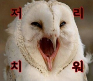 10년 넘은짤들_6.jpg